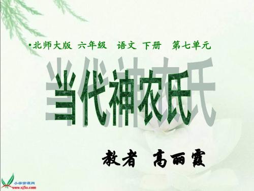 当代神农氏课件