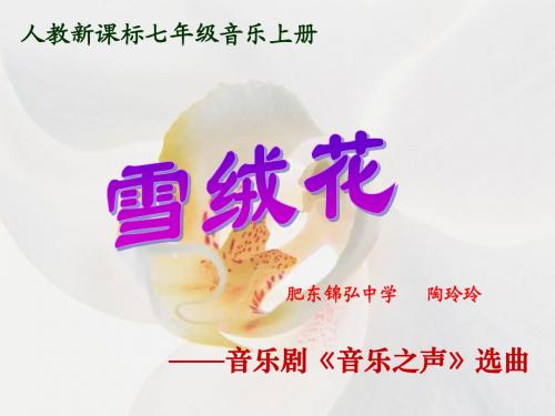 《雪绒花》PPT课件(人教新课标四年级音乐下册课件)