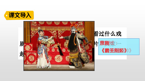 人教部编六年级语文上册23京剧趣谈