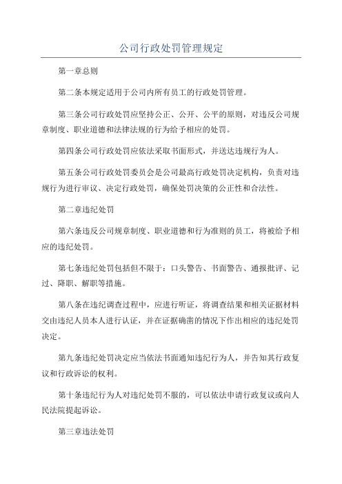 公司行政处罚管理规定