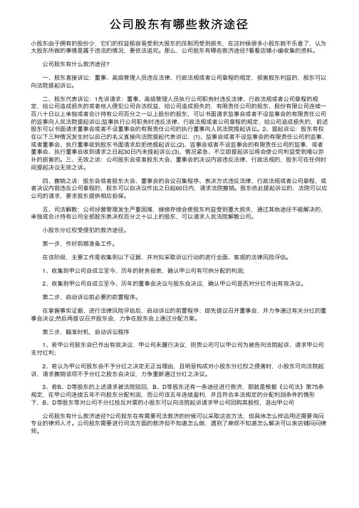 公司股东有哪些救济途径