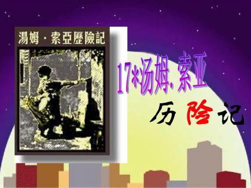 17.《汤姆·索亚历险记》梗概hu