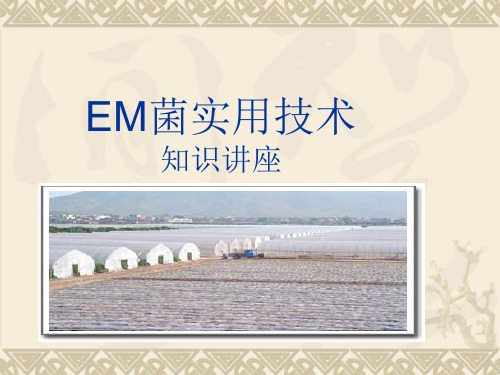 EM菌使用技术