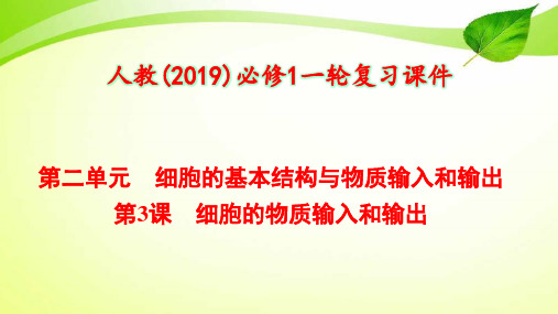 2-3 细胞的物质输入和输出【人教(2019)必修1一轮复习课件】