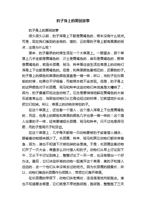 豹子身上的黑斑故事