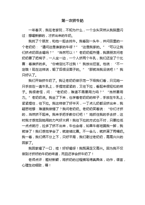 第一次挤牛奶