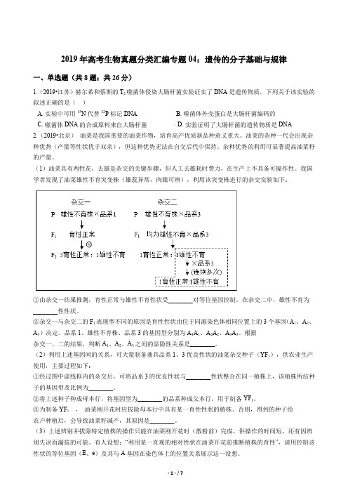 2019年高考生物真题分类汇编专题04：遗传的分子基础与规律(1)