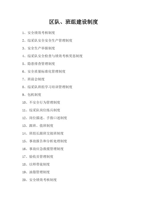 区队、班组建设制度MicrosoftWord文档