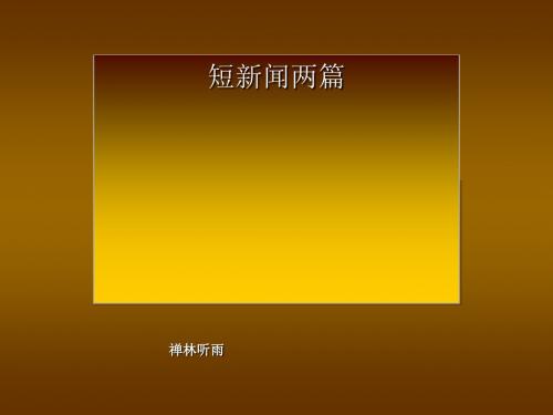 短新闻两篇 PPT课件12