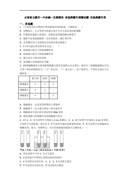 云南省玉溪市一中必修一生物期末 非选择题专项测试题 非选择题专项