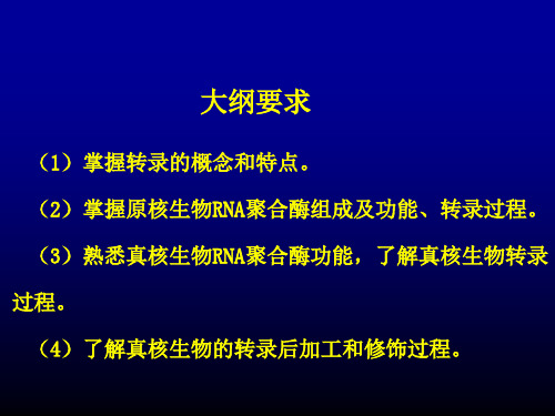 生物化学章16RNA的生物合成 试讲课件1