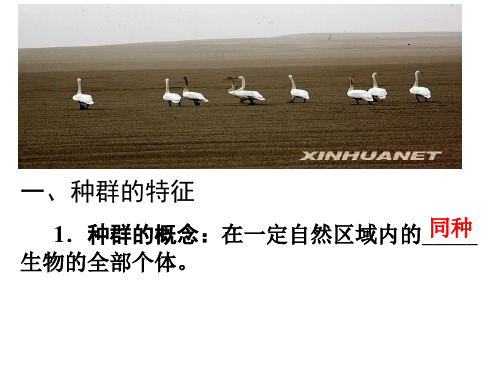 种群的特征、种群数量的变化
