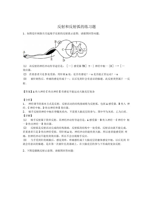 反射和反射弧题答案.doc