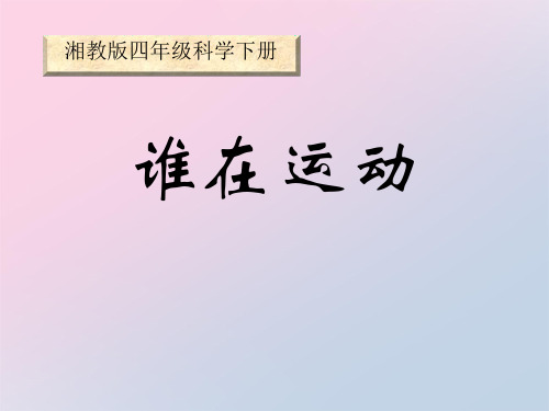 2021年《谁在运动》PPT下载文档