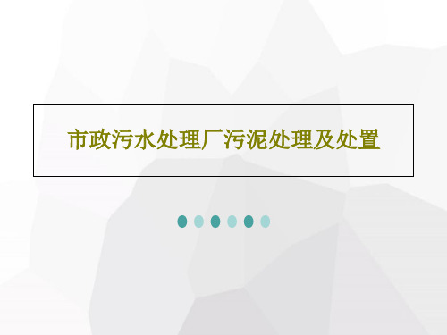 市政污水处理厂污泥处理及处置PPT文档77页