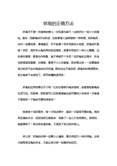 抓龟的正确方法