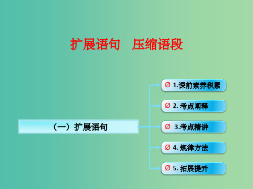 高考语文一轮复习 语言文字运用 扩展语句课件 新人教版