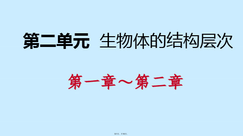 七级生物上册第二单元  生物体的结构层次复习课件(共15张PPT)