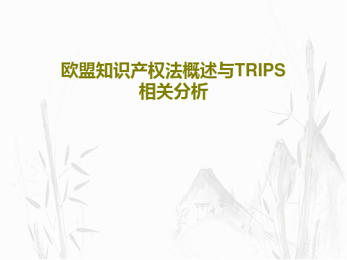 欧盟知识产权法概述与TRIPS相关分析69页PPT