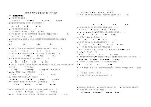 苏教版六年级下册数学基础题