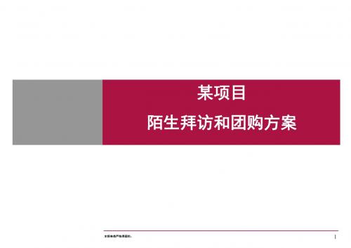 房地产项目陌拜方案PPT课件