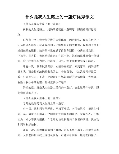 什么是我人生路上的一盏灯优秀作文