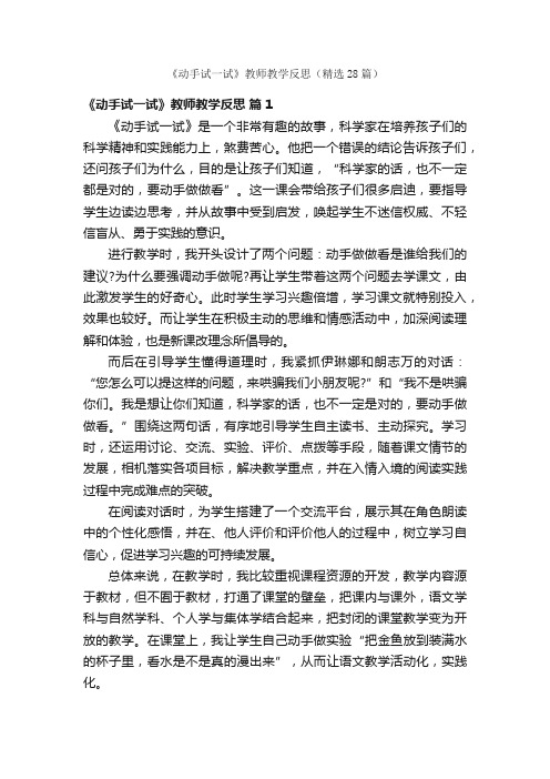 《动手试一试》教师教学反思（精选28篇）