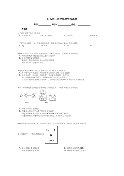 山东初三初中化学中考真卷带答案解析
