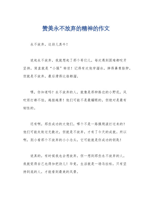 赞美永不放弃的精神的作文