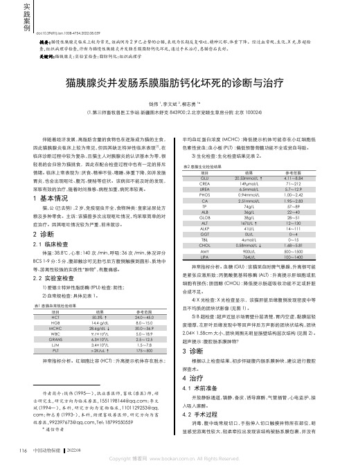 猫胰腺炎并发肠系膜脂肪钙化坏死的诊断与治疗