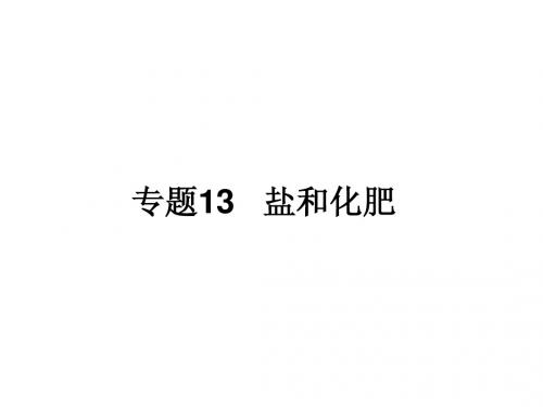 (百日捷进提升系列)2014年中考化学备考 专题13 盐和化肥课件