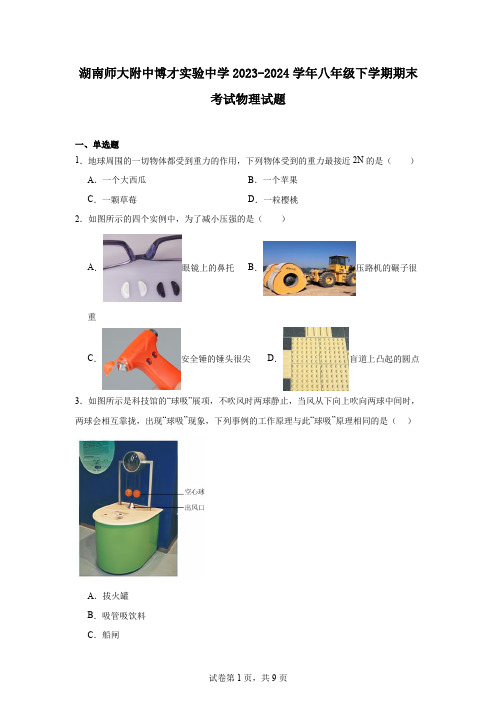 湖南师大附中博才实验中学2023-2024学年八年级下学期期末考试物理试题