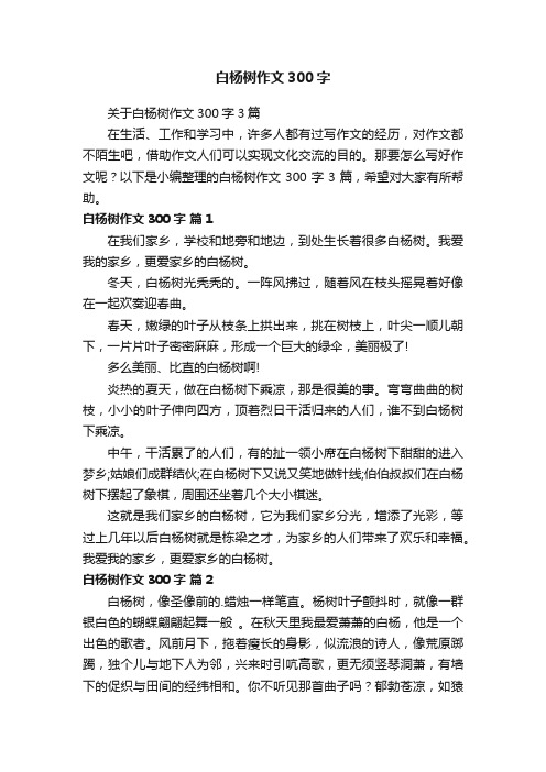 关于白杨树作文300字3篇