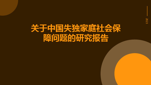 关于中国失独家庭社会保障问题的研究报告