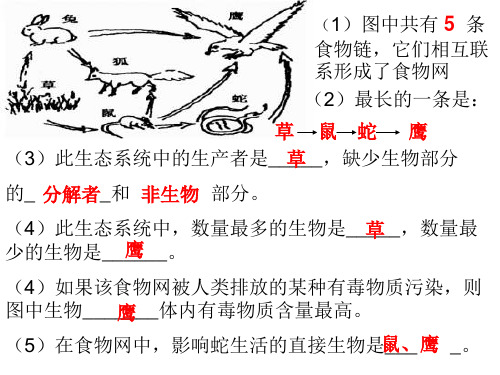 人教版生物七年级上册识图题总结