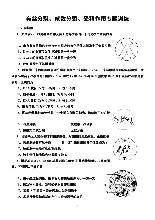 有丝分裂减数分裂受精作用专题训练(原创附答案详解)
