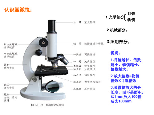 济南版七年级上册1.1.4生物学的研究工具课件 (共20张PPT)