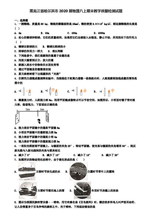 黑龙江省哈尔滨市2020届物理八上期末教学质量检测试题