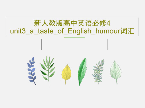 新人教版高中英语必修4 unit3_a_taste_of_English_humour词汇PPT28