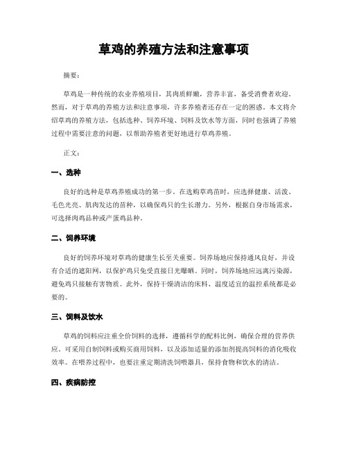 草鸡的养殖方法和注意事项