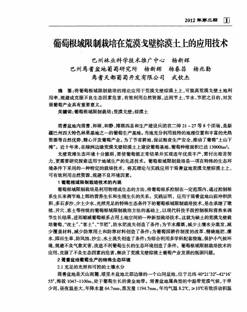 葡萄根域限制栽培在荒漠戈壁棕漠土上的应用技术