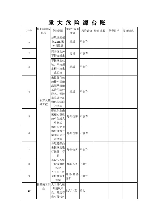 重 大 危 险 源 台 账