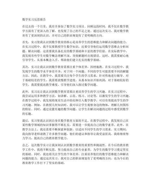 数学实习反思报告