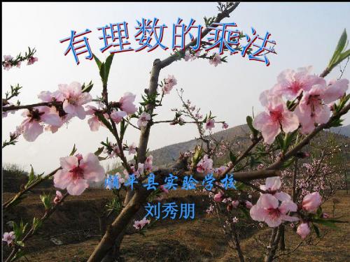 有理数的乘法