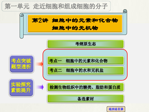 高考生物 一轮复习 第2讲 细胞中的元素和化合物 细胞中的无机物