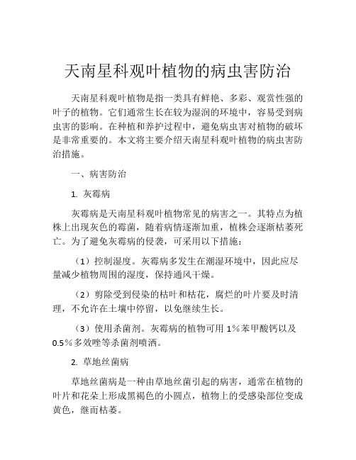 天南星科观叶植物的病虫害防治