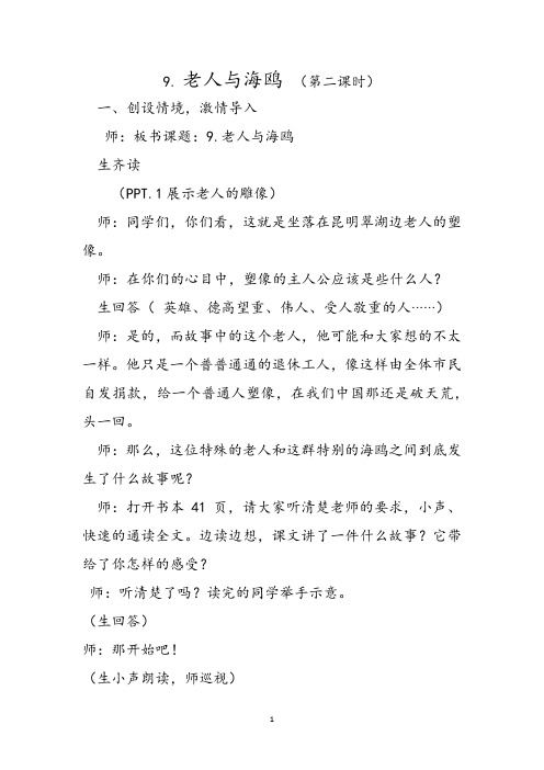 老人与海鸥课堂讲稿