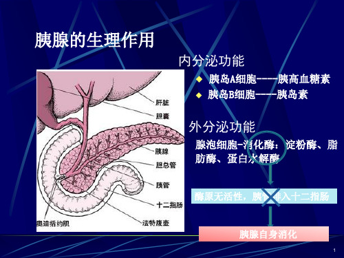 急性胰腺炎---病例分析