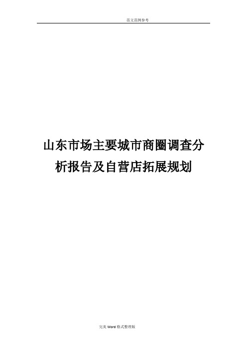 山东市场主要城市商圈商业调查分析报告书