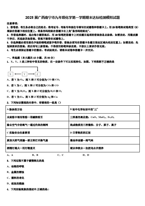 2025届广西南宁市九年级化学第一学期期末达标检测模拟试题含解析